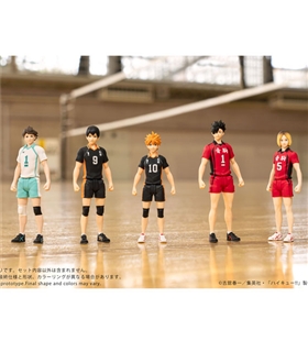 COLLEKAZARO-Haikyuu-Shoyo-Hinata-Tobio-Kageyama-Toru-Oikawa-Tetsuro-Kuroo-Kenma-Kozume
