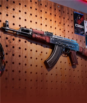 47-Gun-and-Gold-AK-Model