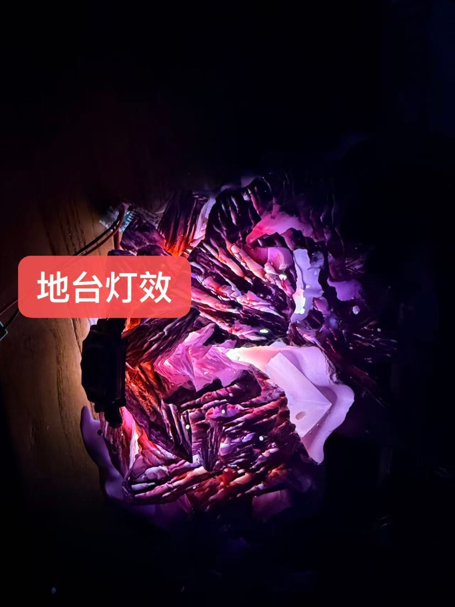 Hibari Kyoya - Reborn