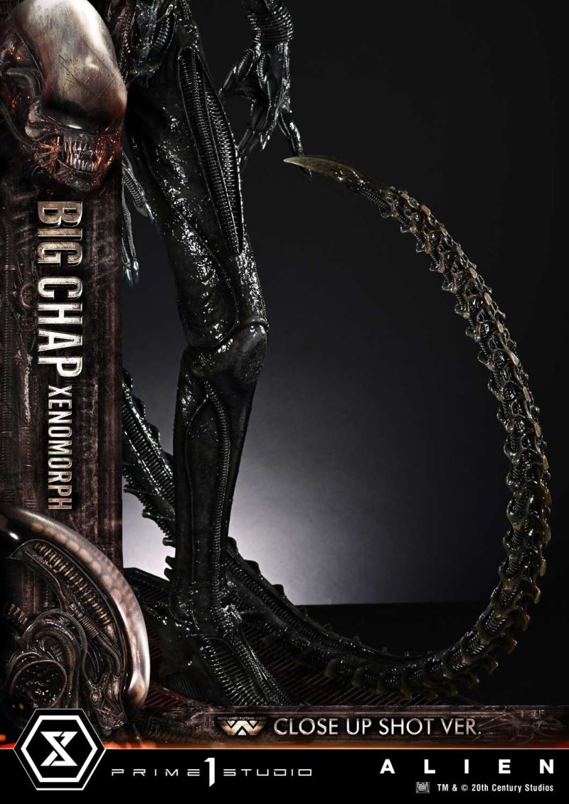 Alien Big Chap Xenomorph Close Up Shot Ver