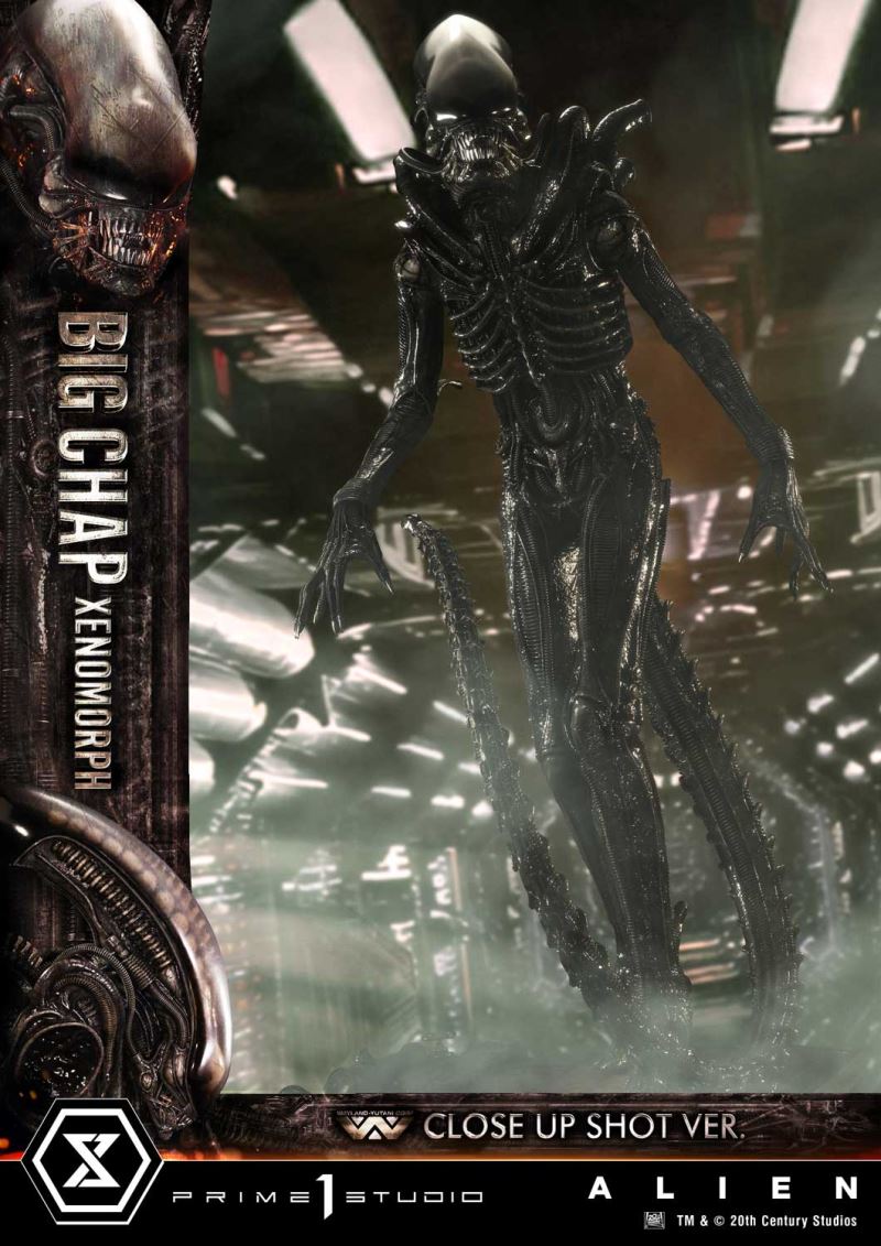 Alien Big Chap Xenomorph Close Up Shot Ver