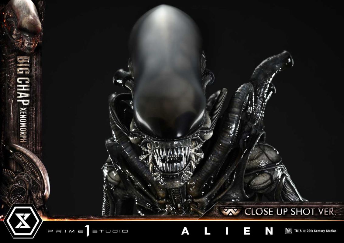 Alien Big Chap Xenomorph Close Up Shot Ver