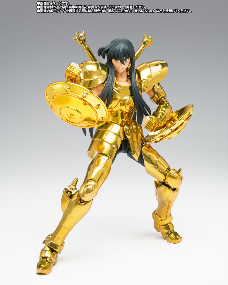 Saint Seiya Cloth Myth EX Libra Shiryu - Successor of the Gold Cloth -