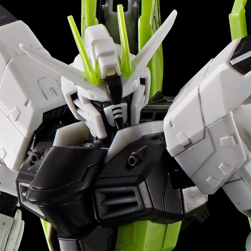 RG 1/144 Freedom Gundam -APEX LEGENDS(TM) Crypto Ver