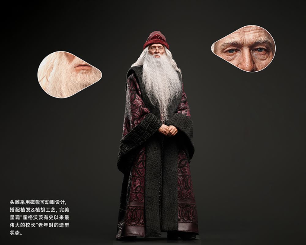 Albus Dumbledore - Harry Potter 1/6