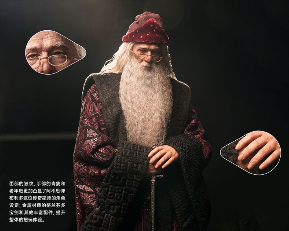 Albus Dumbledore - Harry Potter 1/6