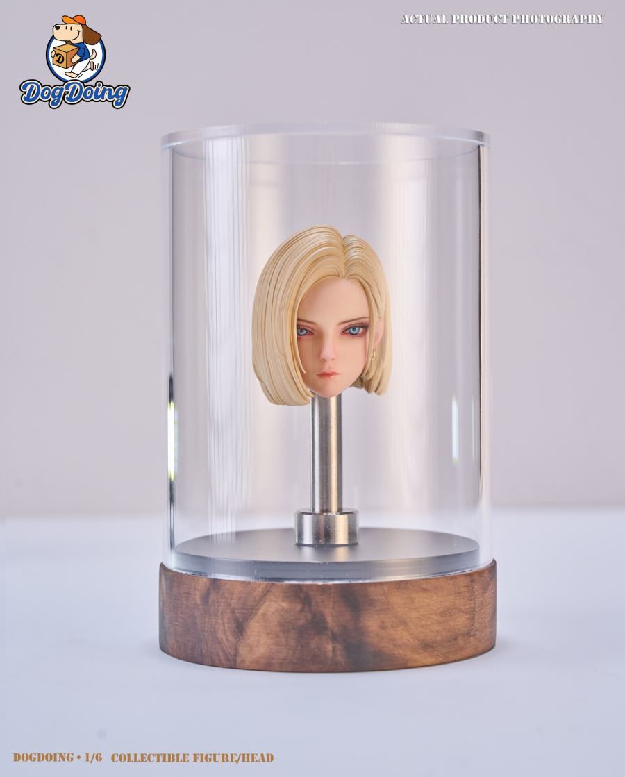 Female Head Sculpt Lazuri 1/6