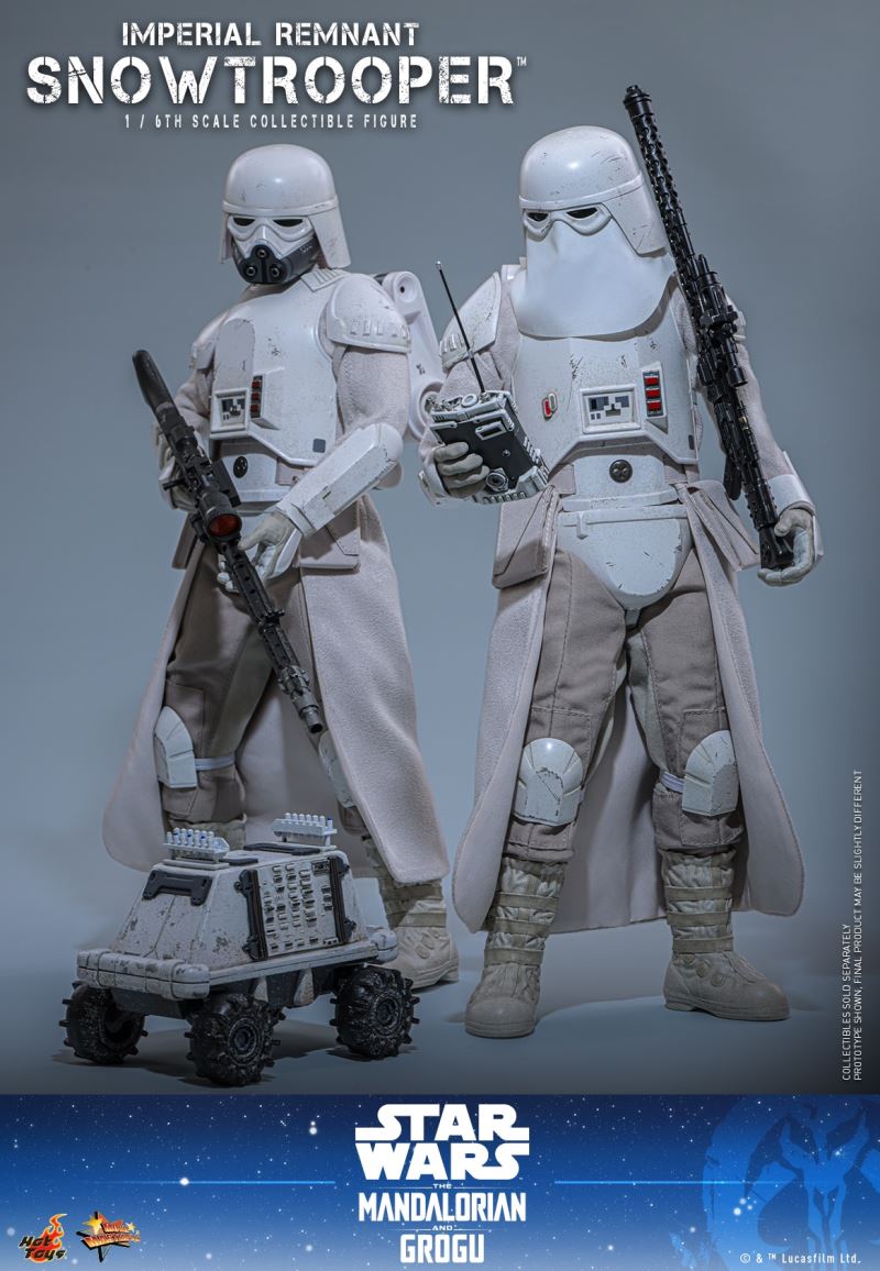 The Mandalorian and the Gugu - Imperial Remnant Snowstorm Trooper