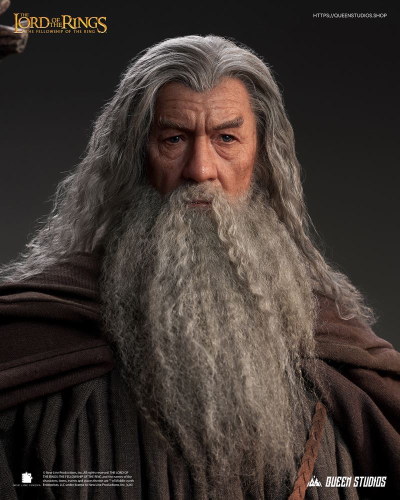Gandalf - The Lord of  the Ring 1/3