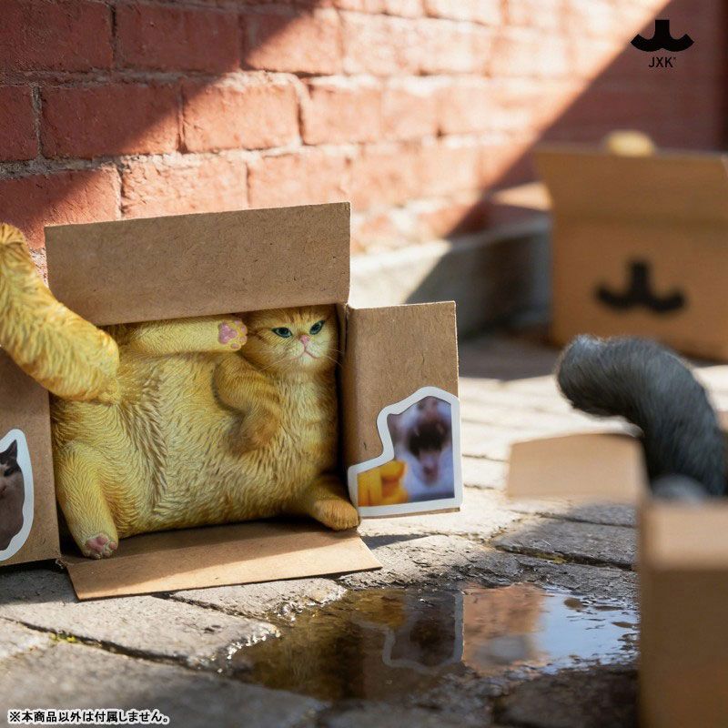 Cardboard Box Cat