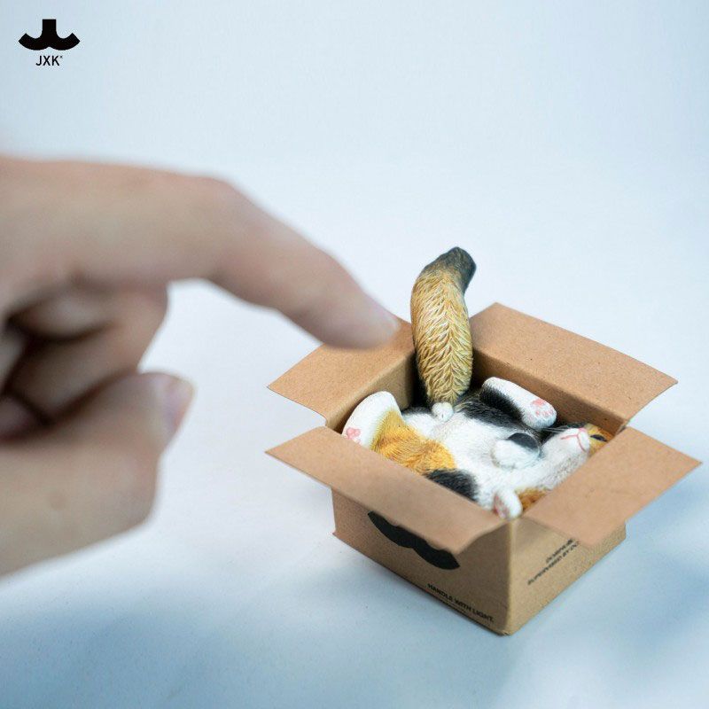 Cardboard Box Cat