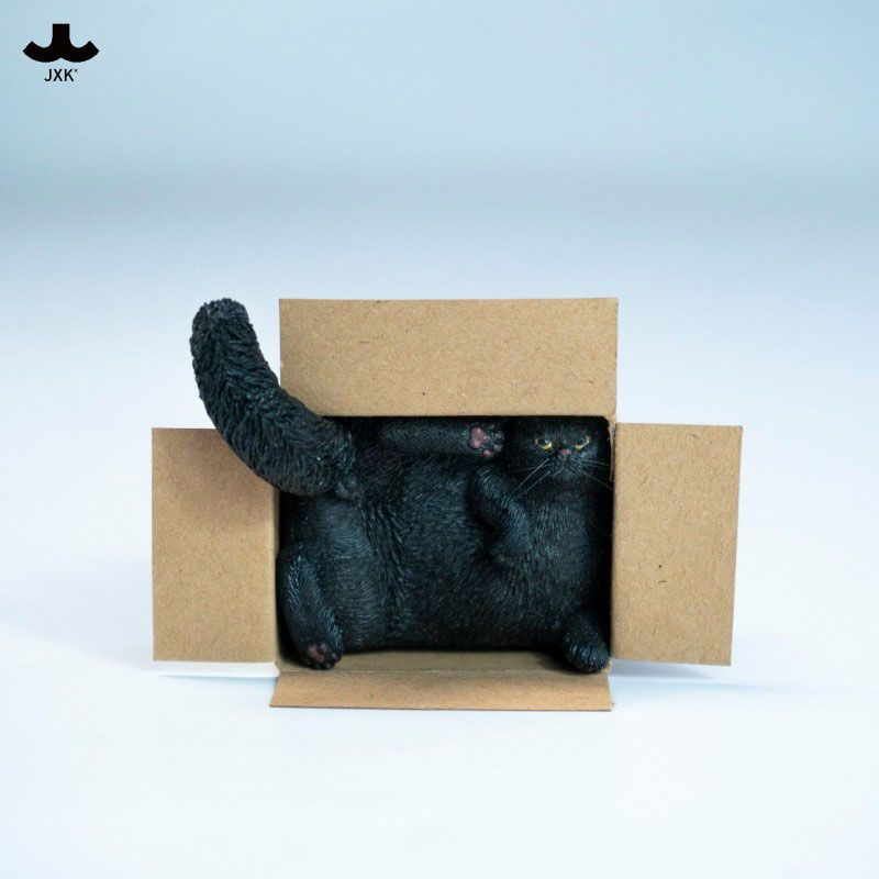 Cardboard Box Cat