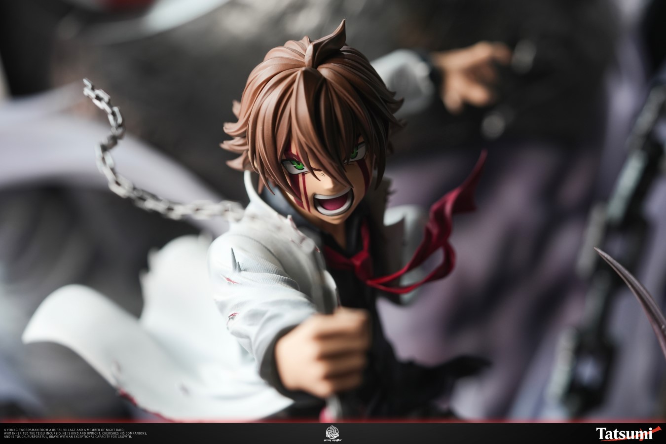 Tatsumi - Akame ga Kill!