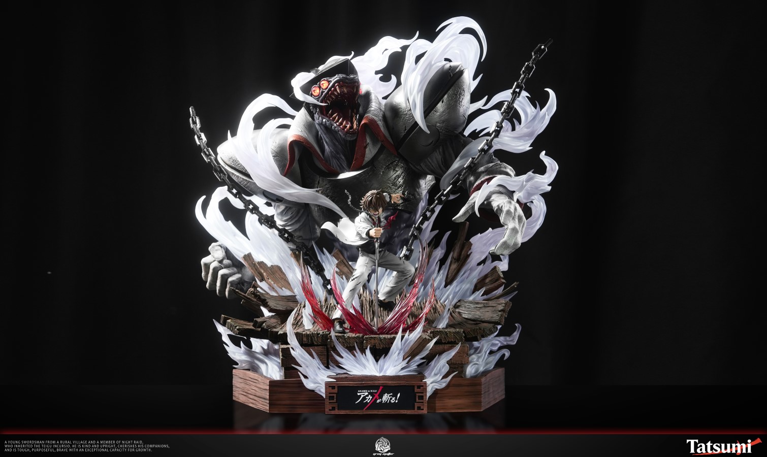 Tatsumi - Akame ga Kill!