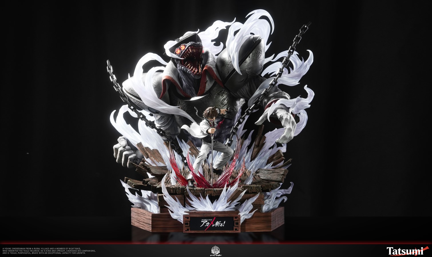 Tatsumi - Akame ga Kill!