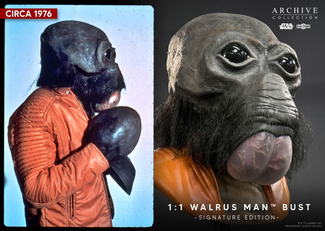 Walrus Man