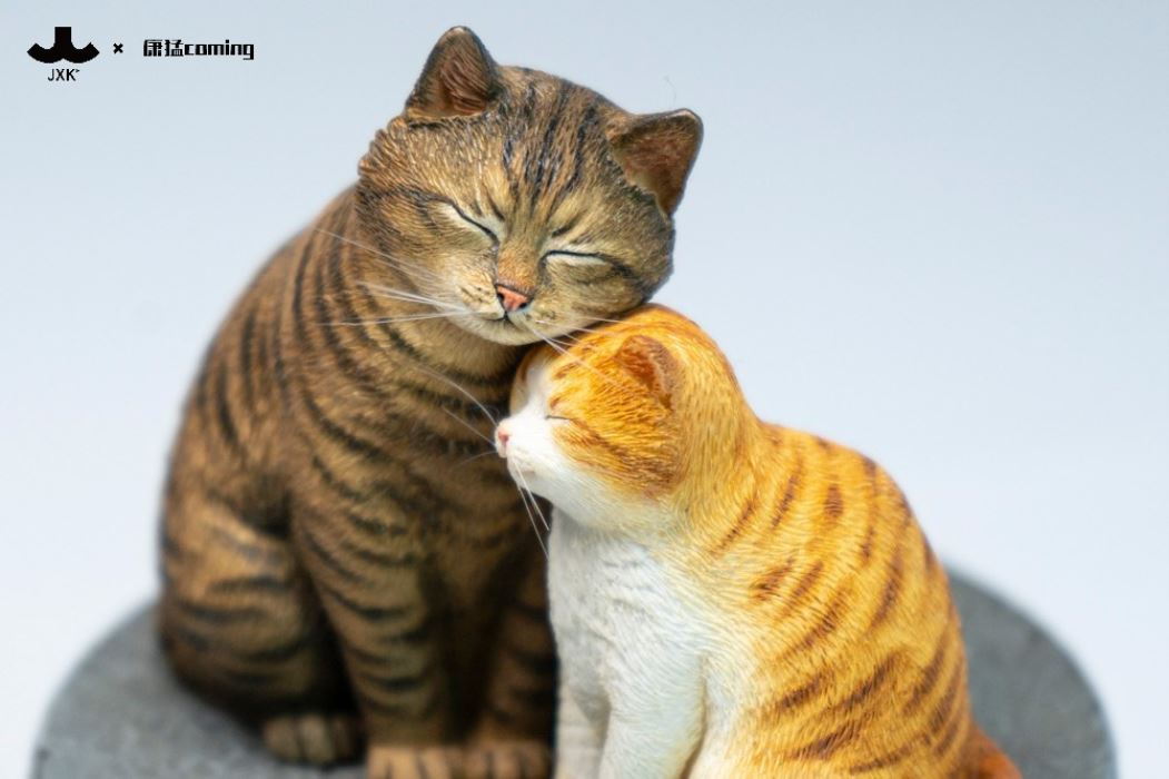 Cats Resting Among Stones