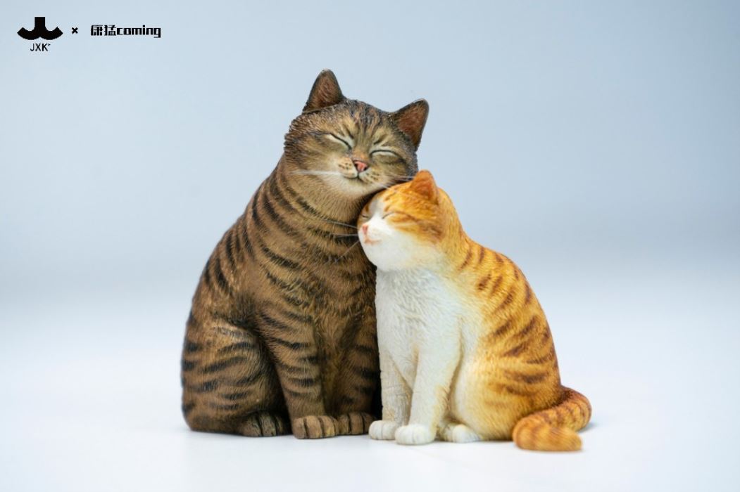 Cats Resting Among Stones