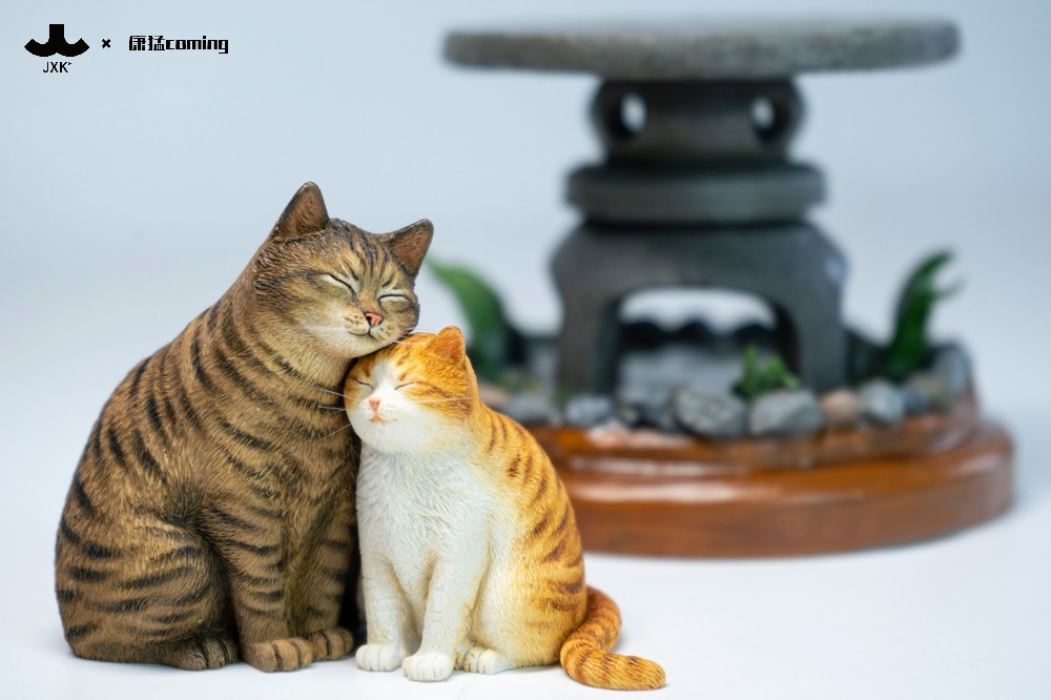 Cats Resting Among Stones