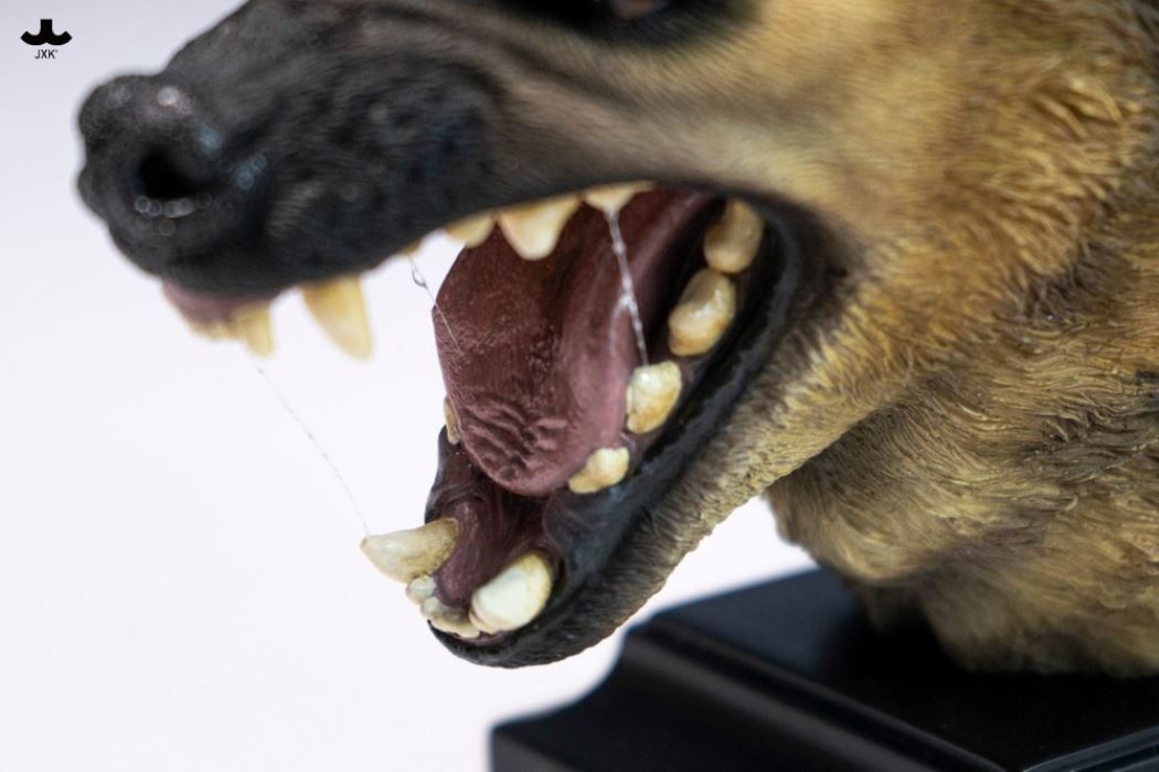 Hyena Head Sculpture