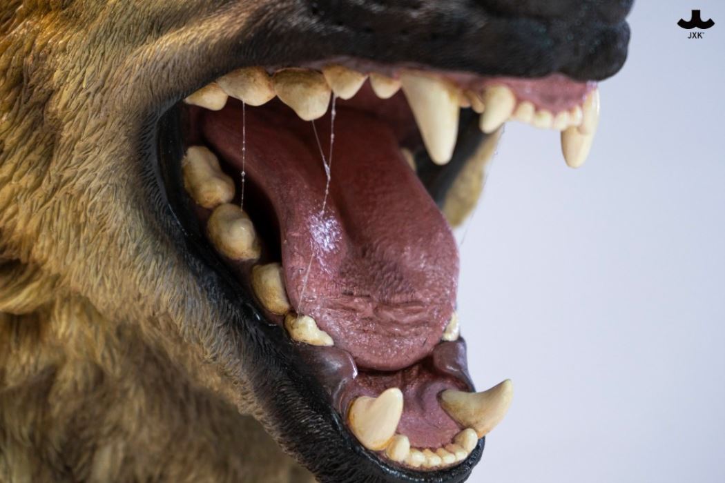 Hyena Head Sculpture