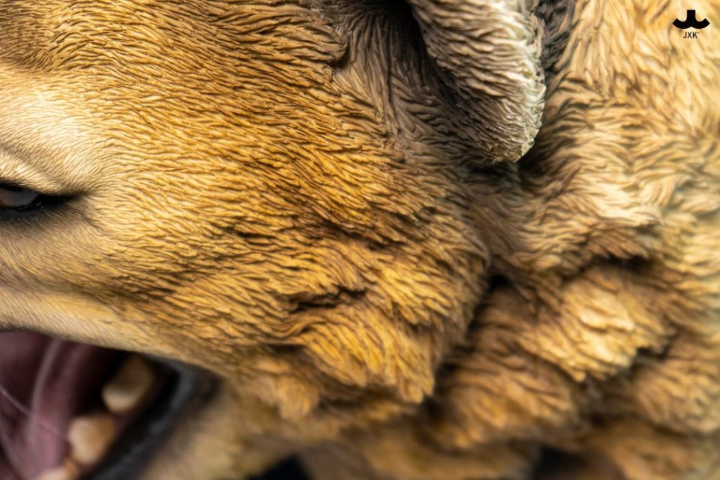 Hyena Head Sculpture