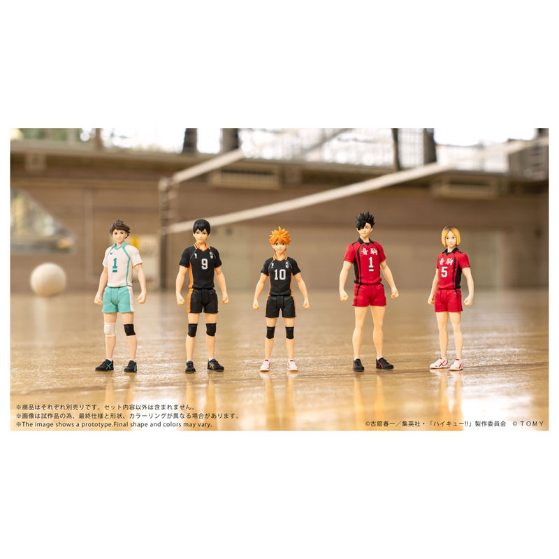 COLLEKAZARO Haikyuu!! - Shoyo Hinata / Tobio Kageyama / Toru Oikawa / Tetsuro Kuroo / Kenma Kozume