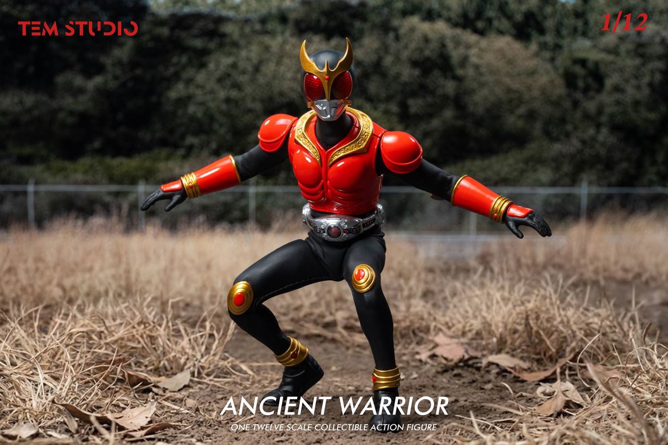 Kamen Rider Kuuga 1/12