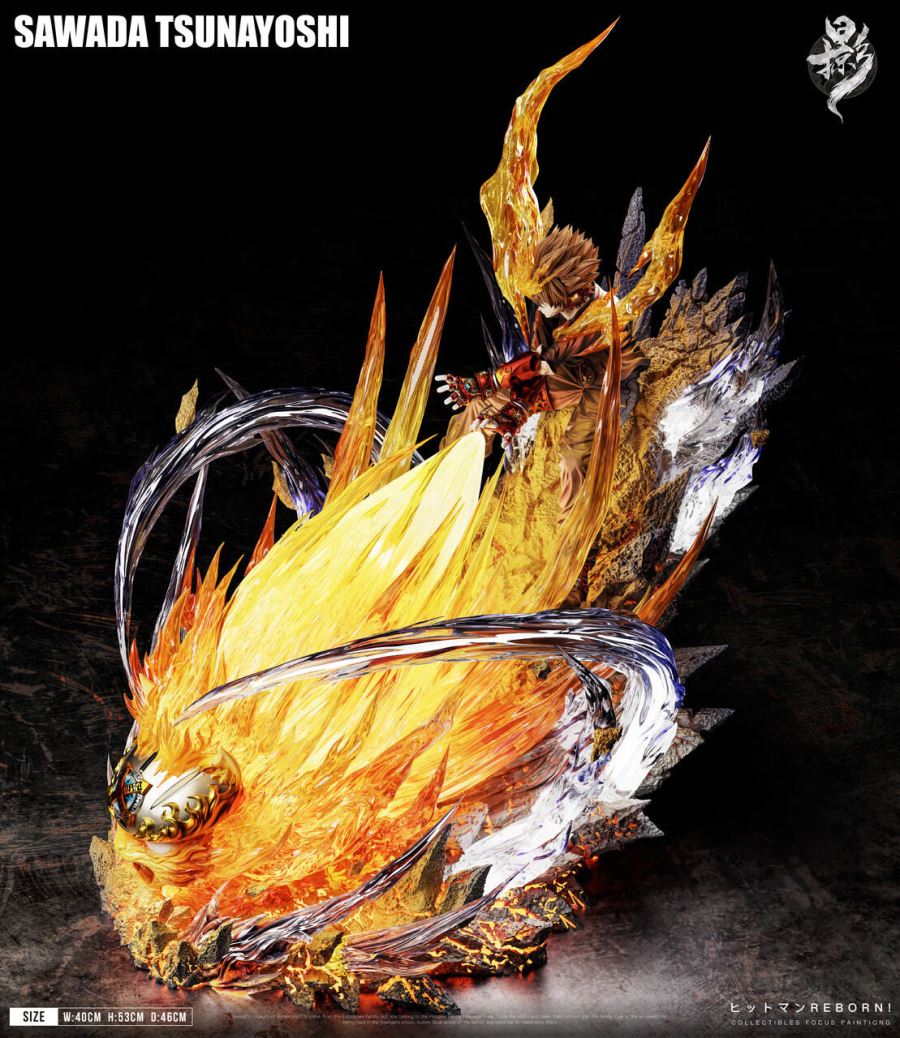 Sawada Tsunayoshi - Reborn 1/6