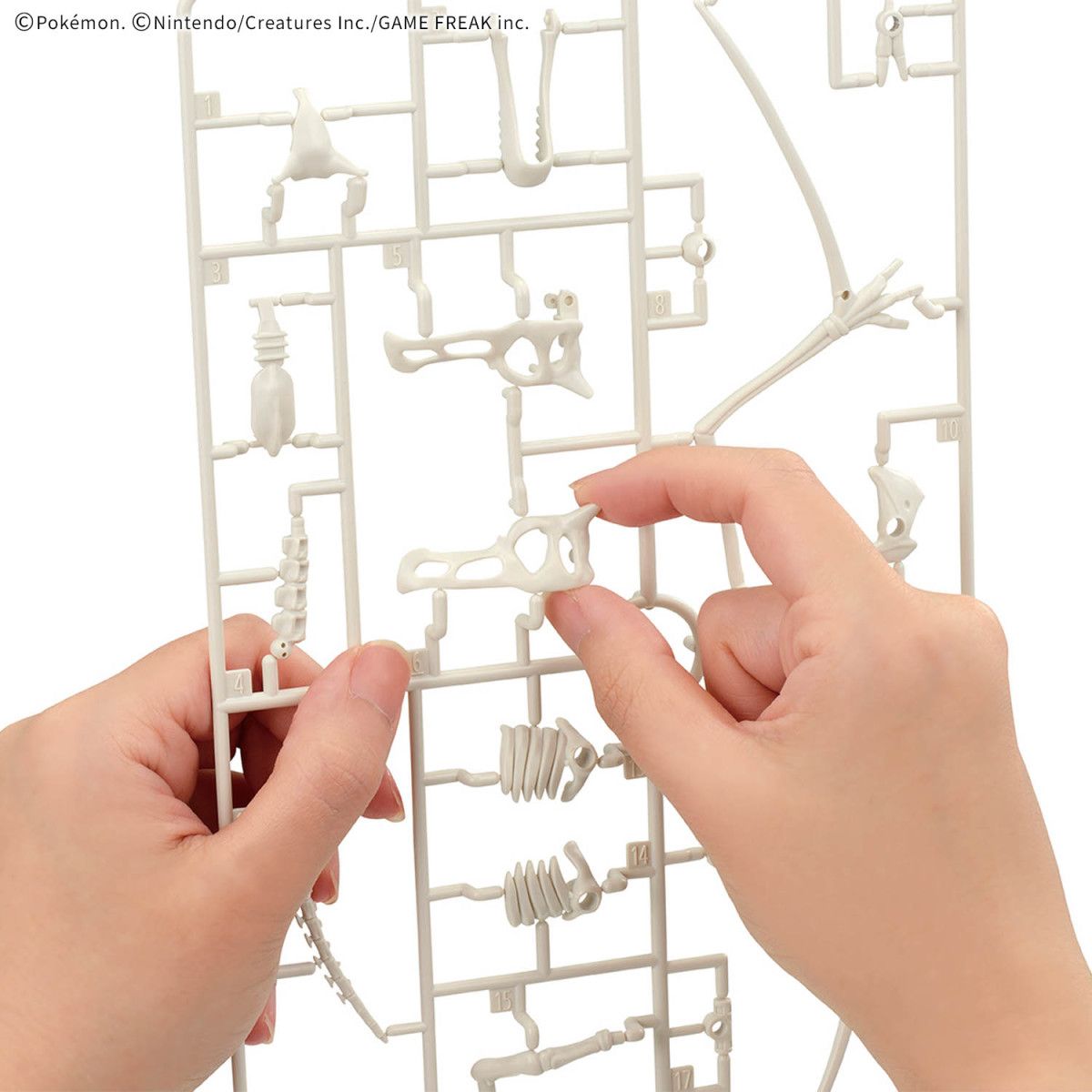 Fossil Pokemon Series Aerodactyl