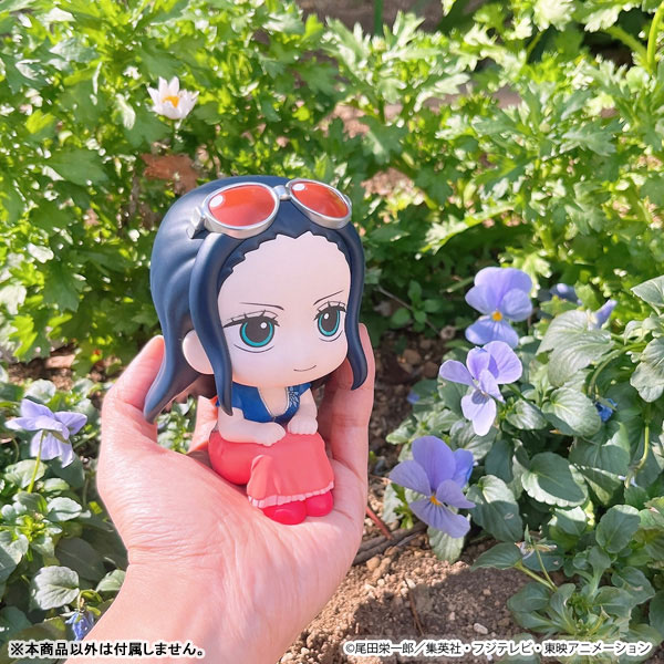 LookUp ONE PIECE - Nico Robin & Tony Tony Chopper Wakuwaku Ver