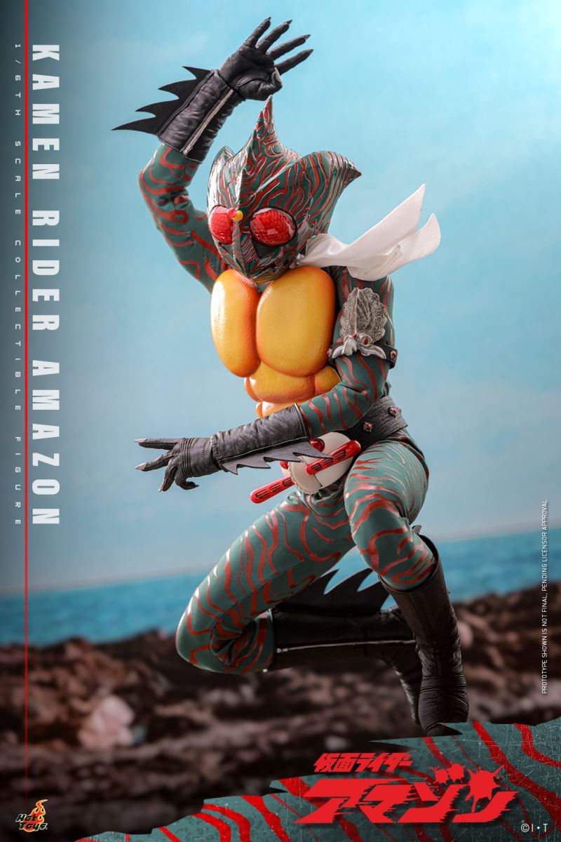 Kamen Rider Amazon 1/6