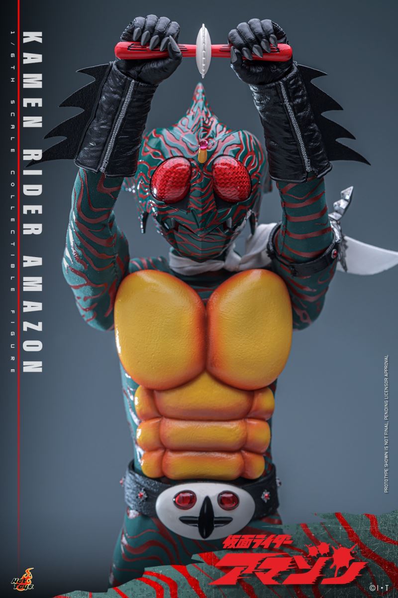 Kamen Rider Amazon 1/6