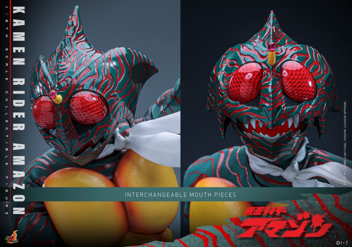 Kamen Rider Amazon 1/6