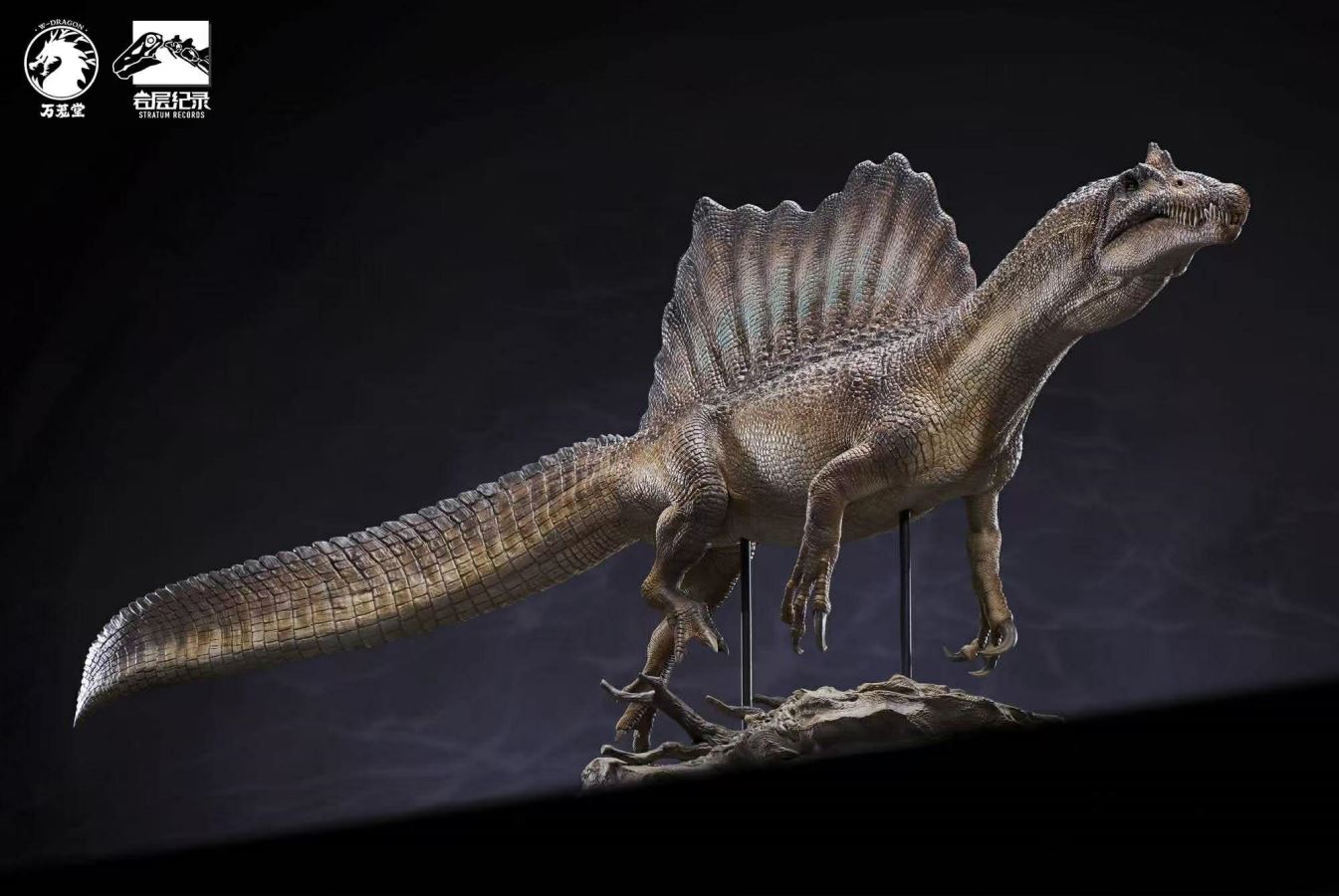 Spinosaurus Scientific Model 1/35