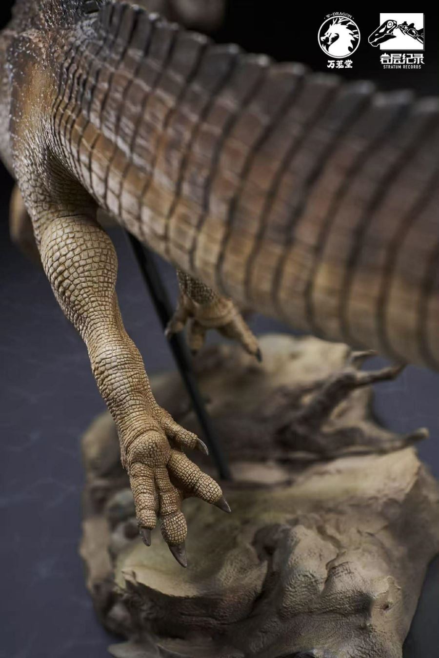 Spinosaurus Scientific Model 1/35