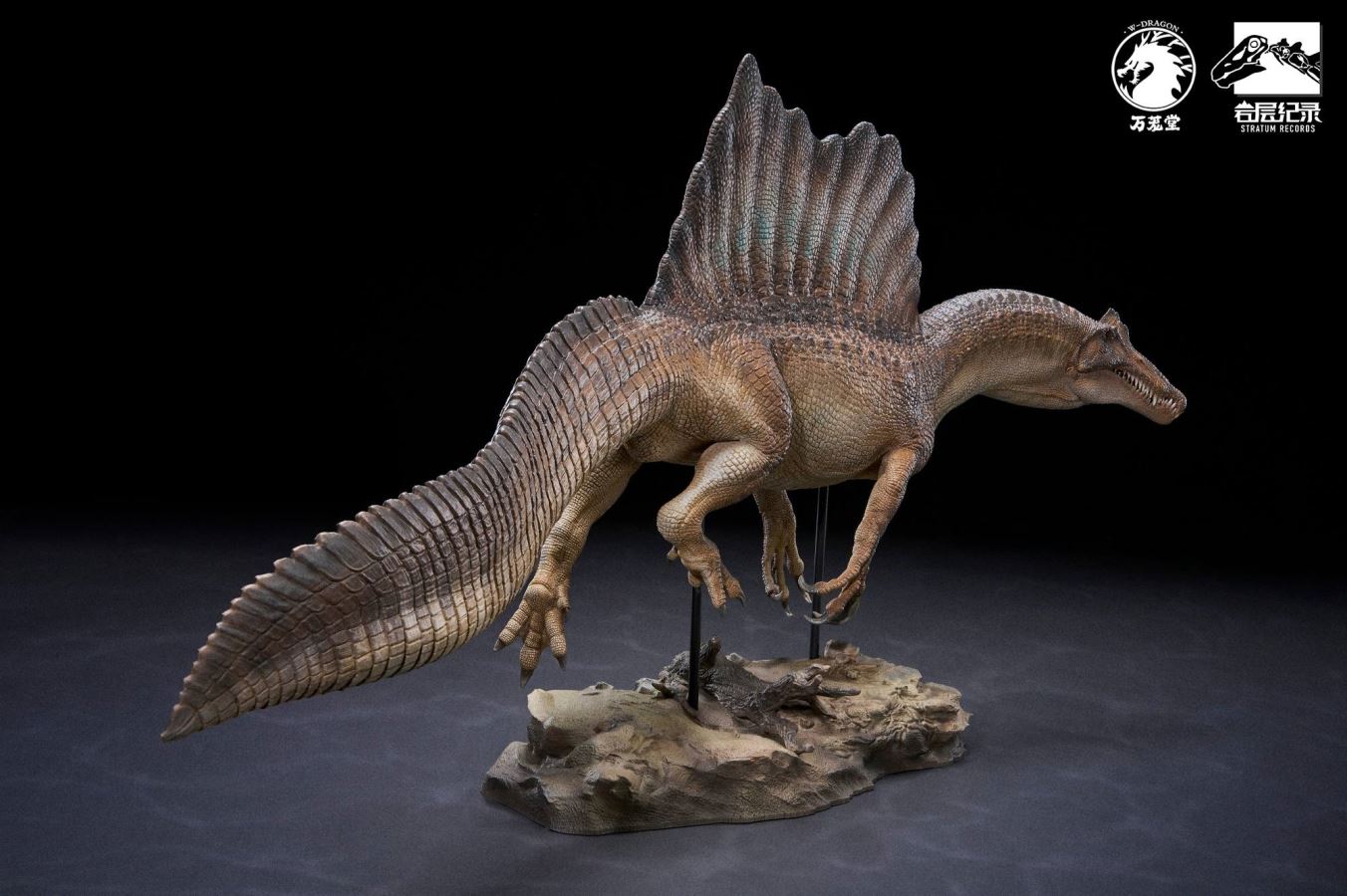 Spinosaurus Scientific Model 1/35