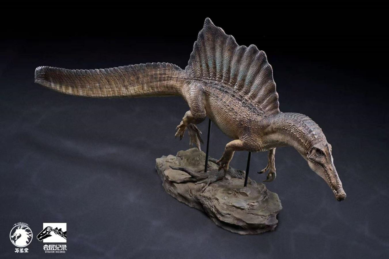 Spinosaurus Scientific Model 1/35