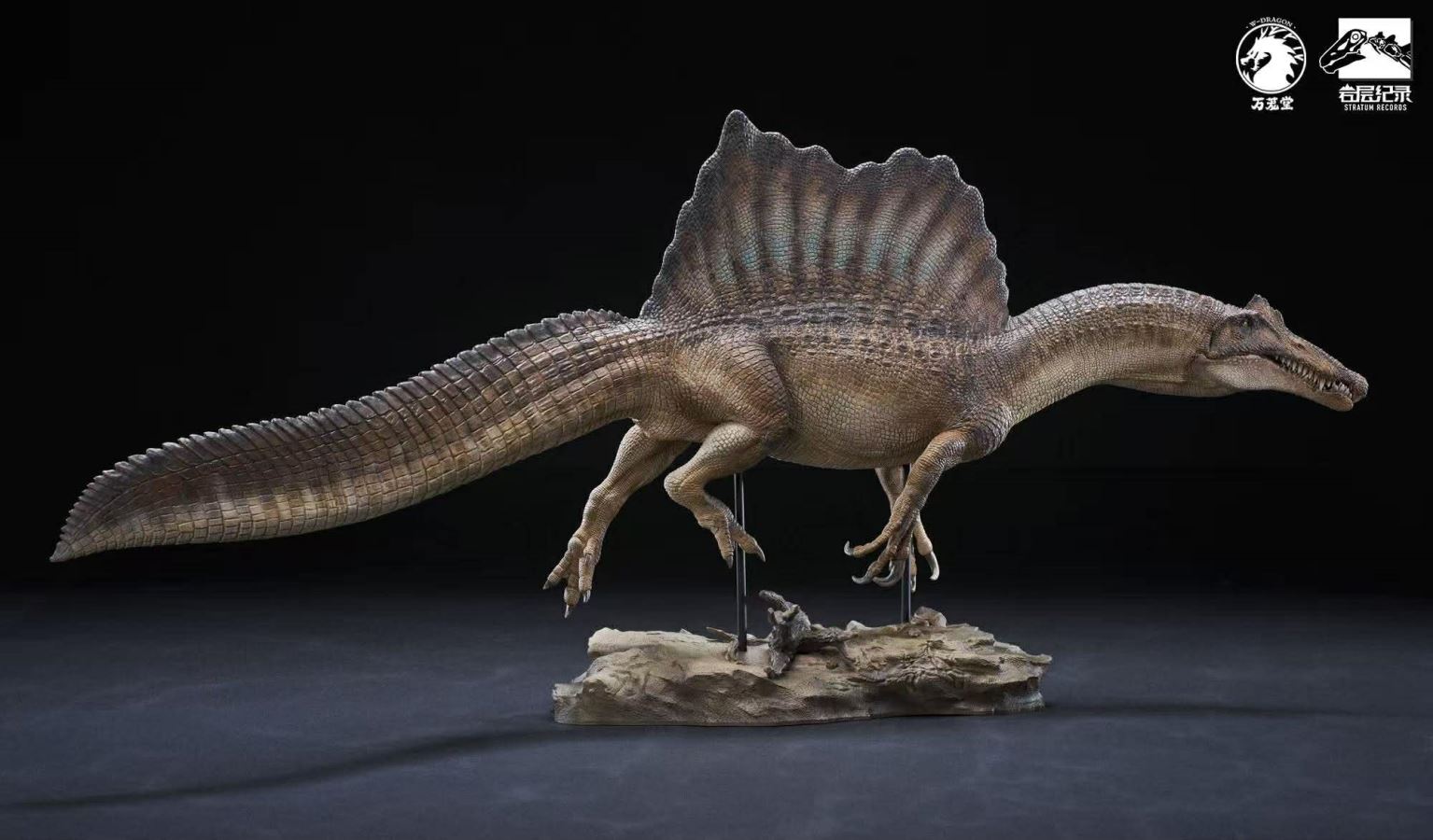 Spinosaurus Scientific Model 1/35