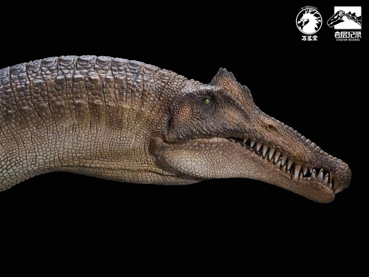 Spinosaurus Scientific Model 1/35