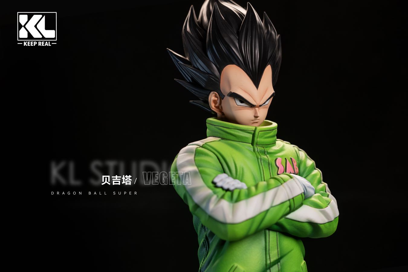 Snow Clothing Vegeta & Goku