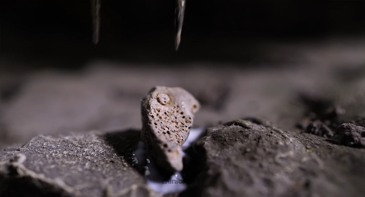 ชมขั้นตอนการสร้างไดโอรามาสวย ๆ Two-Headed Scorpion Guards an old palace