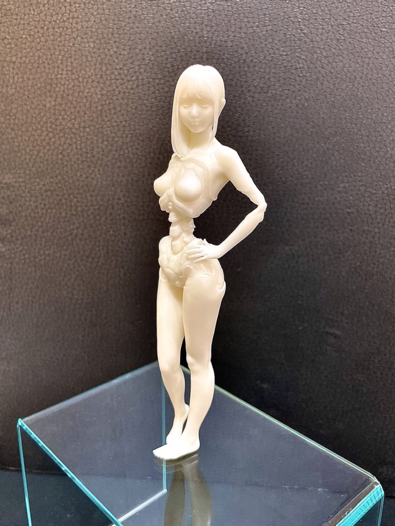 สวยล้ำไปอีกแบบ กับงาน GK หุ่น Android HB01 Transparent Ver