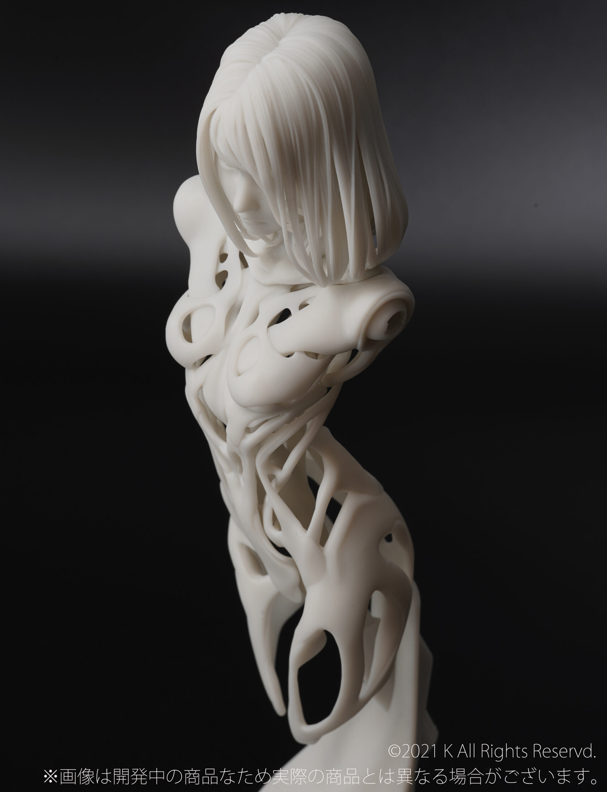 ออกใหม่ อย่างแจ่ม กับงาน DIGITAL GARAGE KIT ของค่าย Kaiyodo